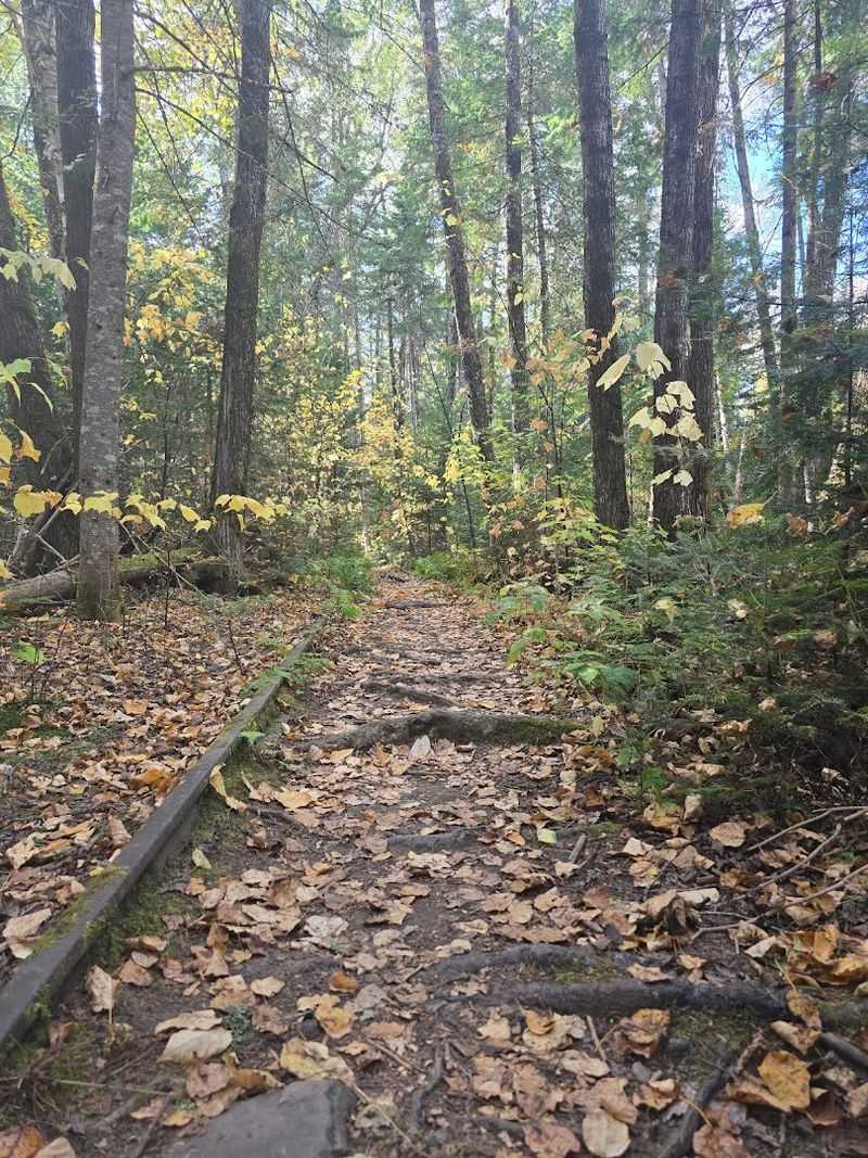 The Hike Itself Is Surprisingly Easy