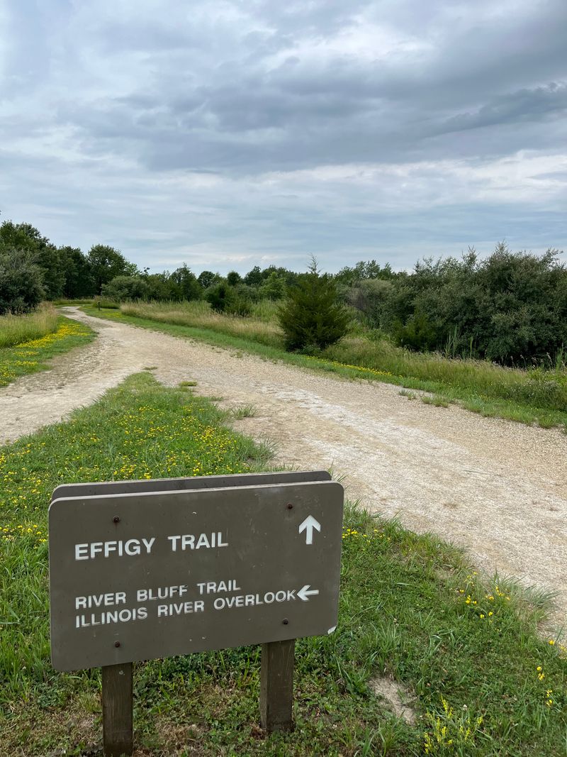 Accessibility With Dignity And Detail