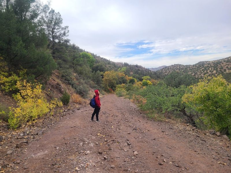 The Hike Down To The Creek