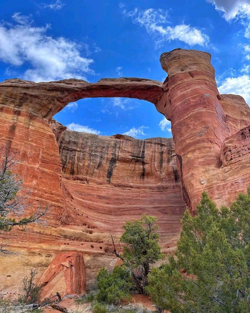 An Arch Collection That Rivals Arches National Park