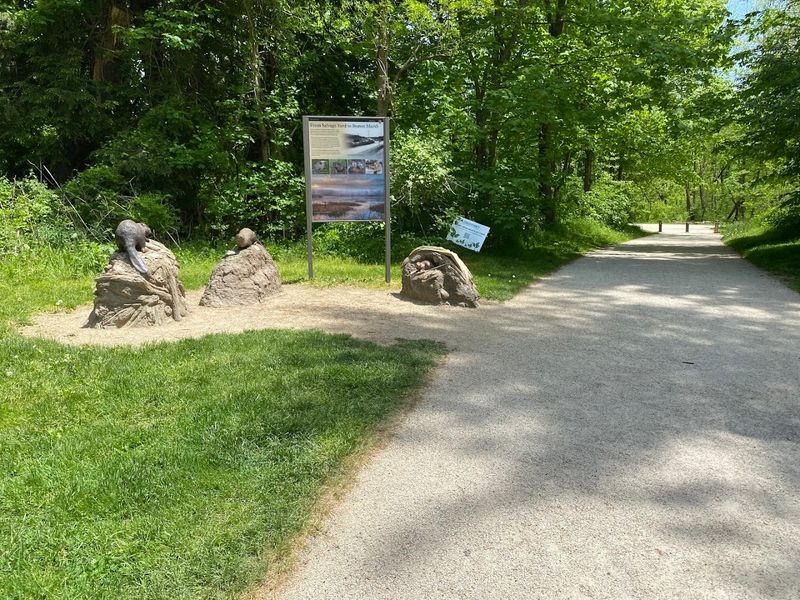 Sharing the Trail With Cyclists and Other Visitors