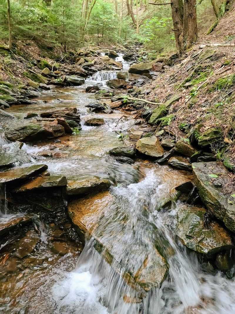 Best Times of Year to Experience Rock Run