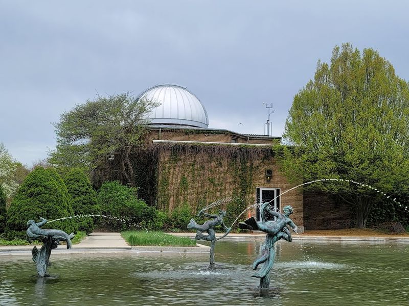 Getting There Without Losing The Calm Before The Museum