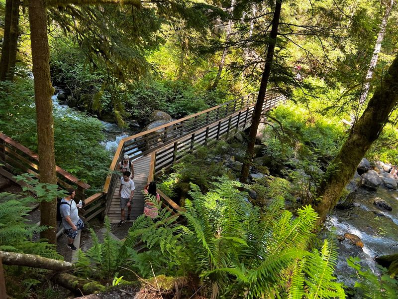 The Trailhead And First Steps Into The Forest