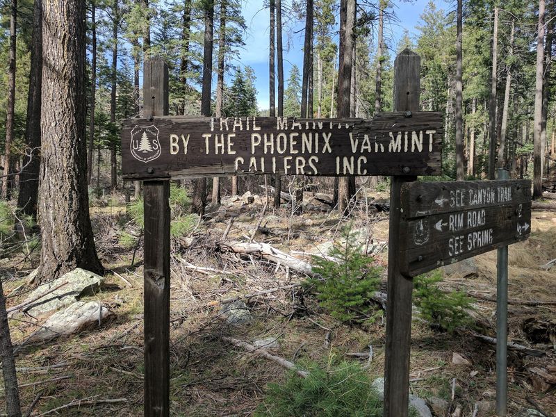 Getting To The Trailhead From Payson