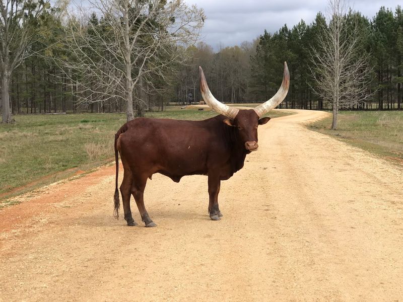 The Road To Hope Hull Is Worth Every Mile