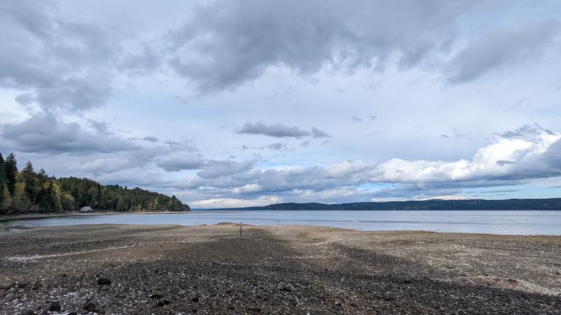 Getting Your Shellfish License Before You Go