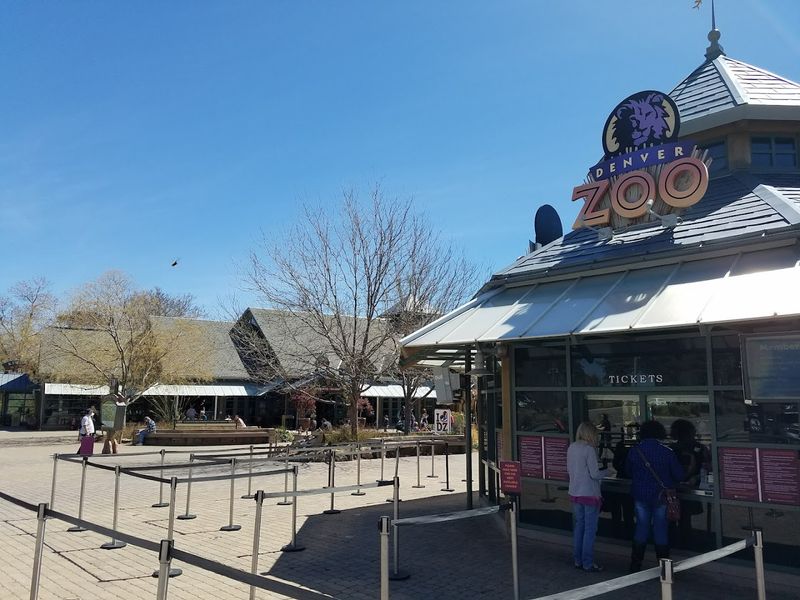 Food and Drinks Available During the Festival Evening