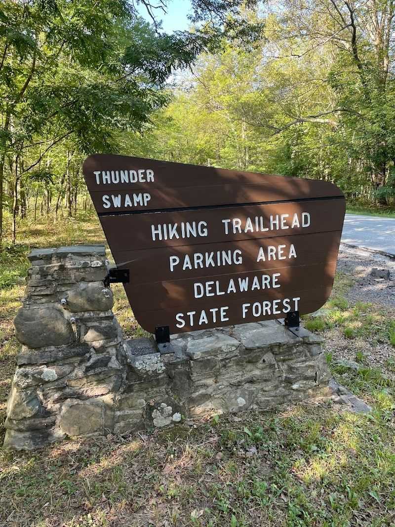 Thunder Swamp Trail, Delaware State Forest, Pennsylvania