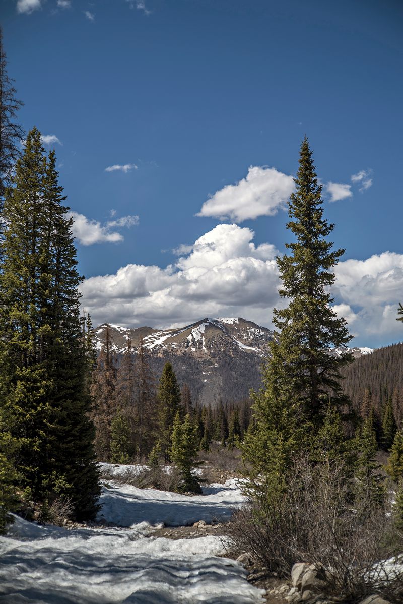 A Hiker's High-Altitude Reward
