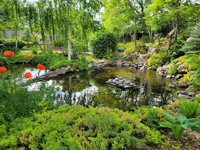 The Stunning Botanical Gardens And Tortuga Falls