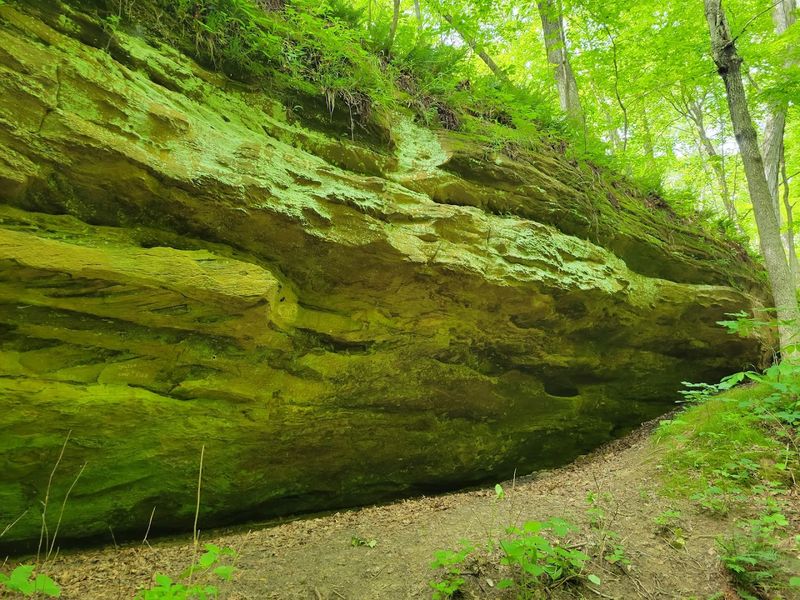 Rock Cave Nature Preserve, Ogle County