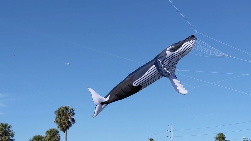 Giant Sea Creatures Are About To Swim Through The Sky