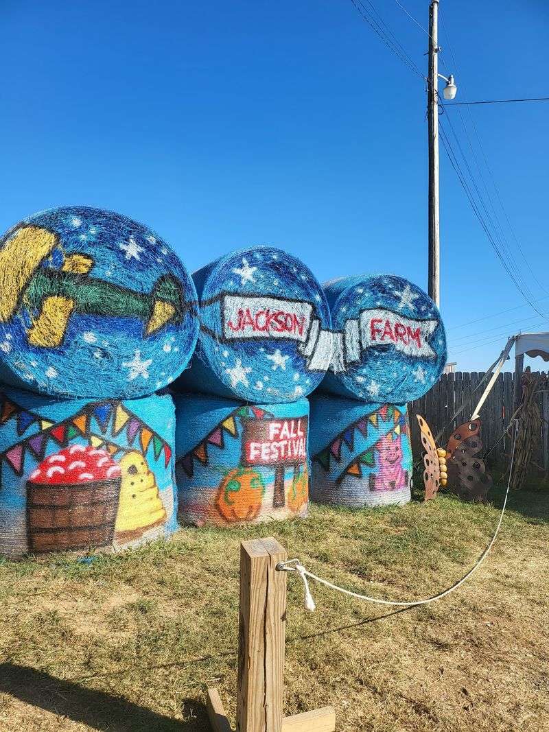 Giant Slides Bring Big Energy To The Festival