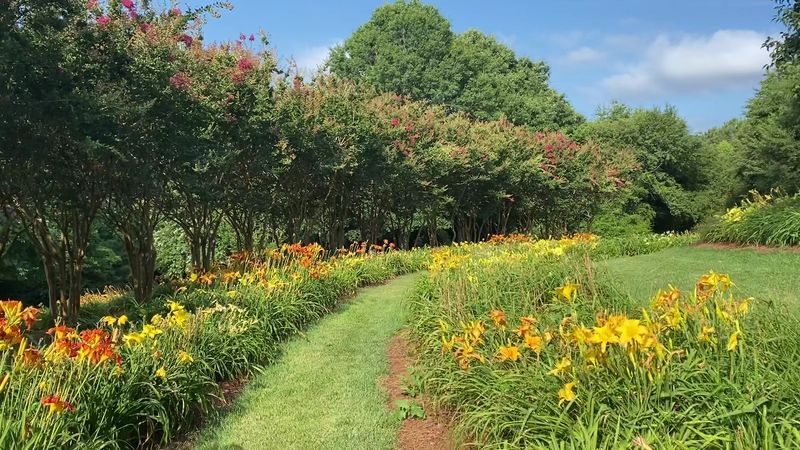 Gibbs Gardens