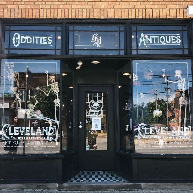 Visiting Hours, Location, and Tips for Getting the Most Out of Your Trip