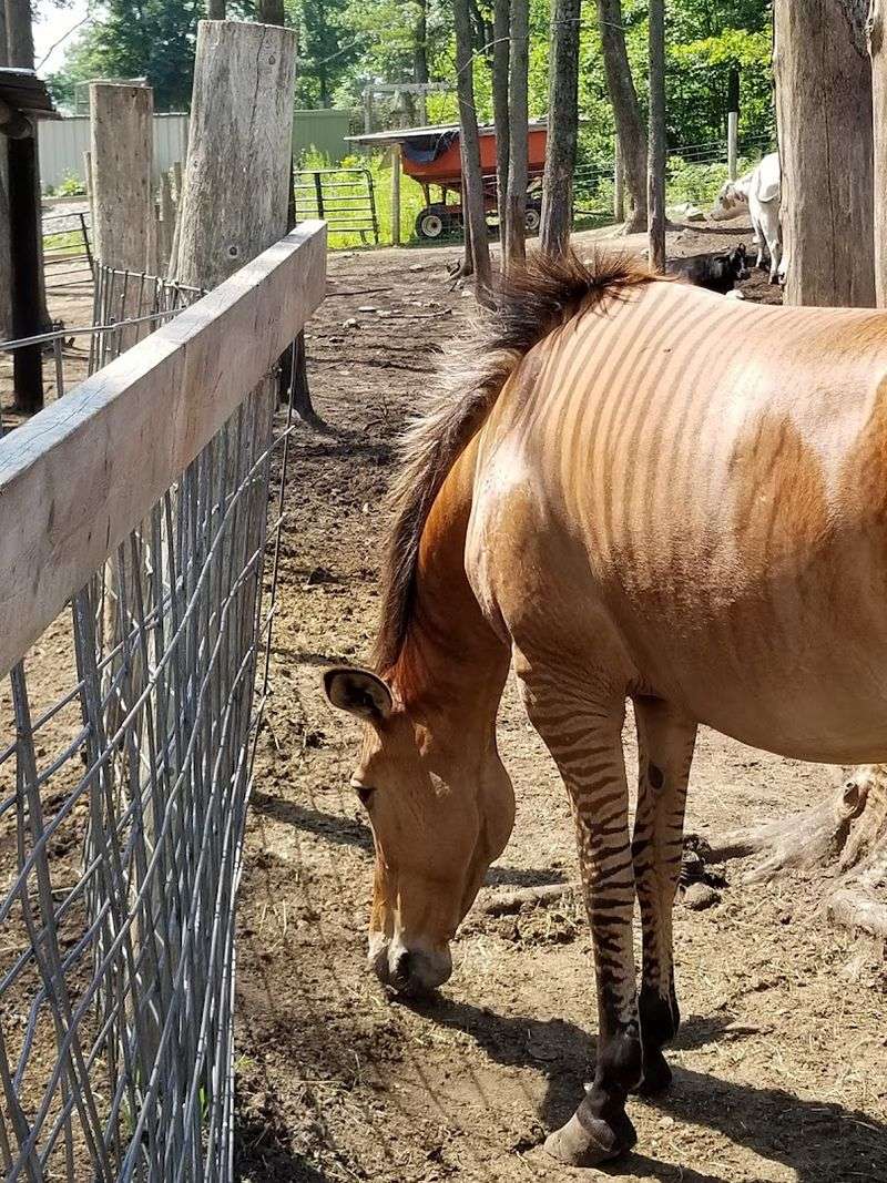 Respecting Space And Care