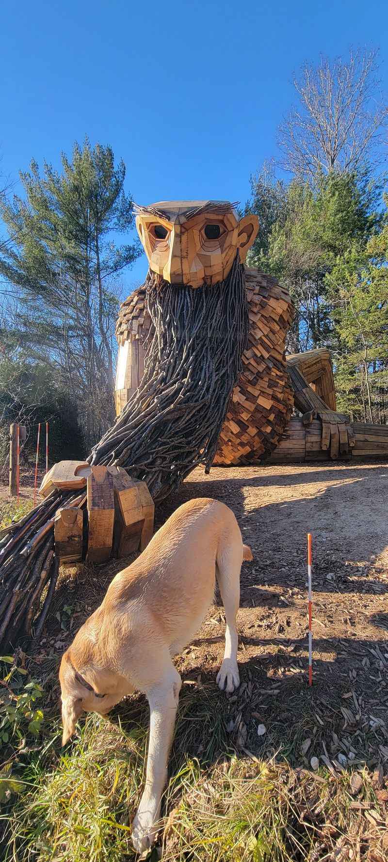 Leaving With A Last Look