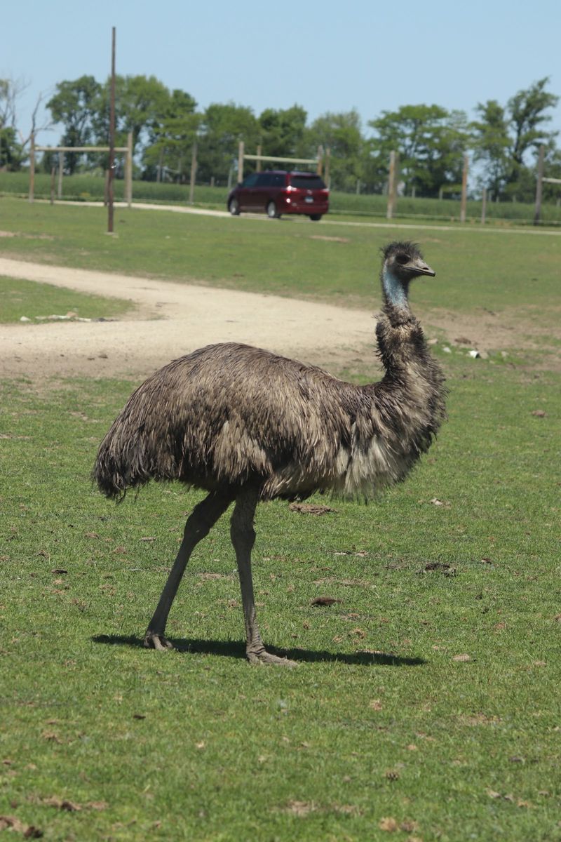 Well-Maintained Facilities Reflect Exceptional Animal Care Standards