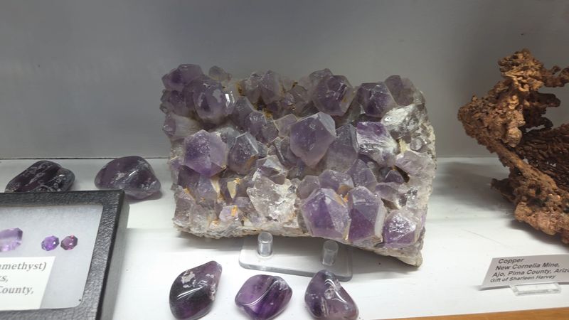 Gift Shop Specimens at Friendly Prices