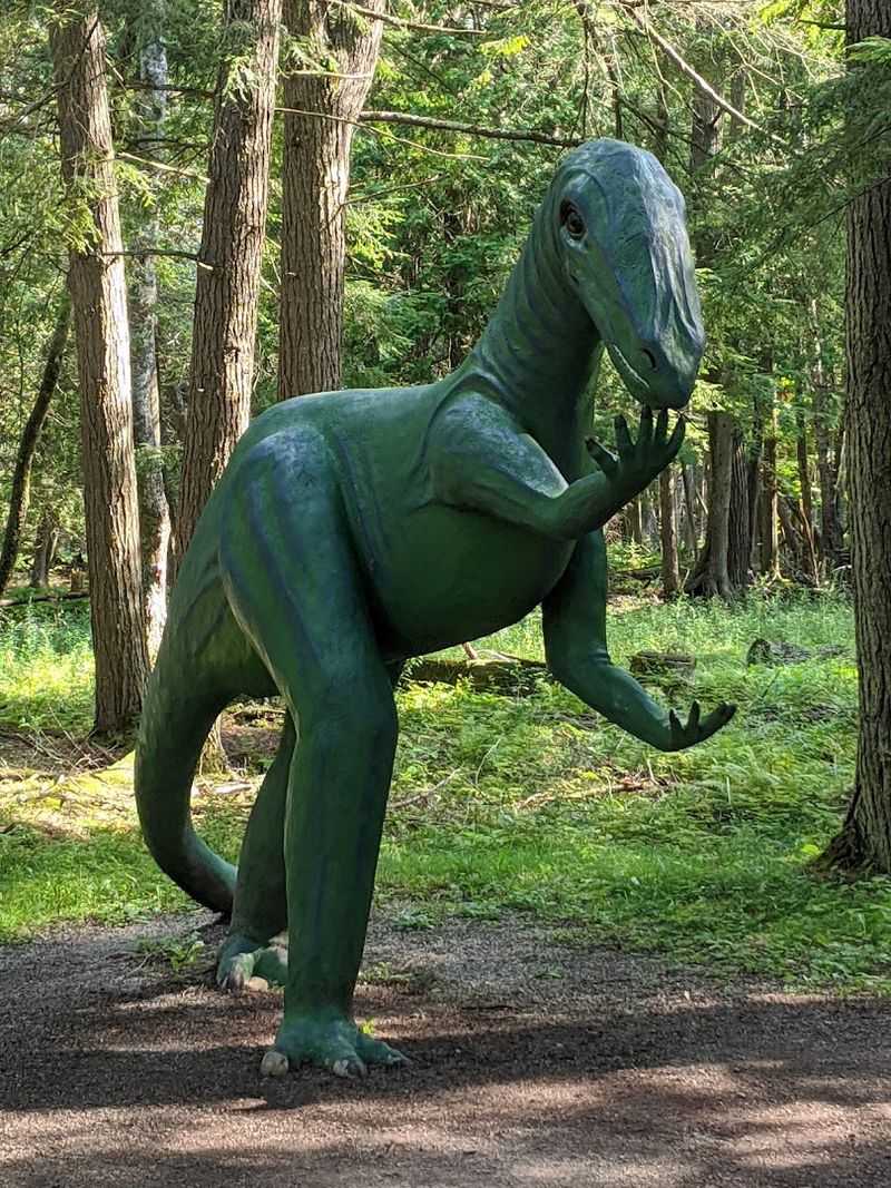 Dog Friendly Done Right