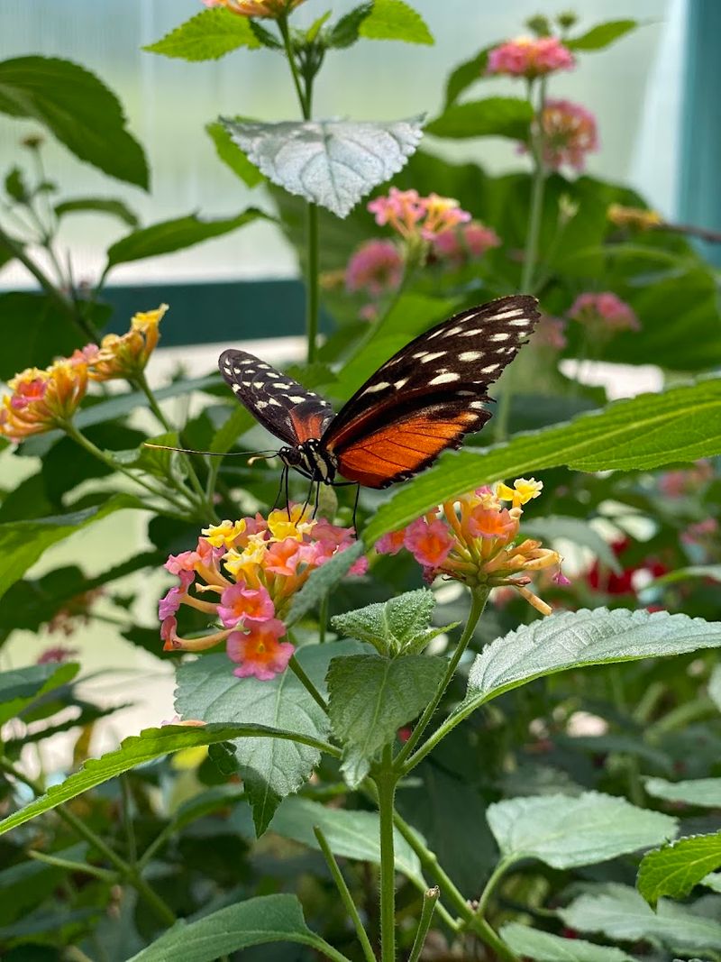 Practical Timing And Tickets