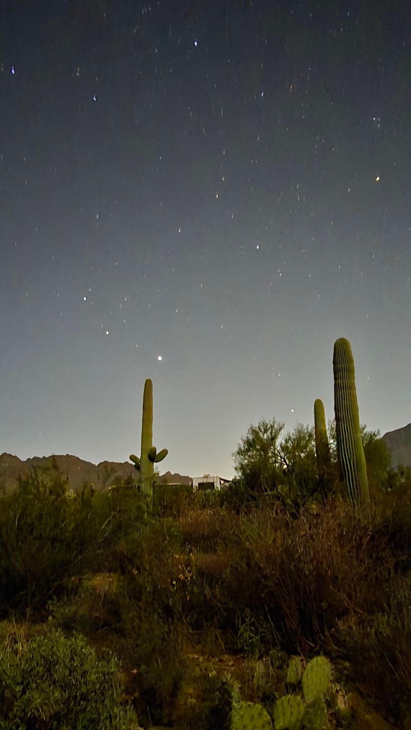 Gilbert Ray Campground, Tucson Gilbert Ray Campground, Tucson