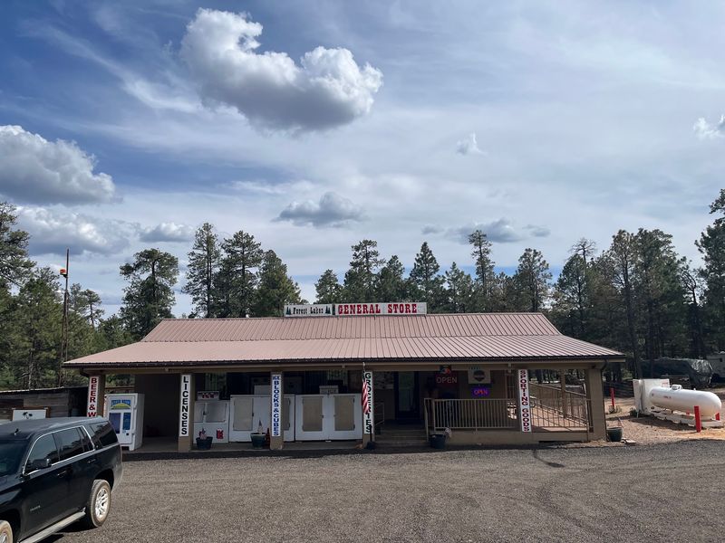Gilligan's Forest Lakes General Store, Forest Lakes Estates, AZ