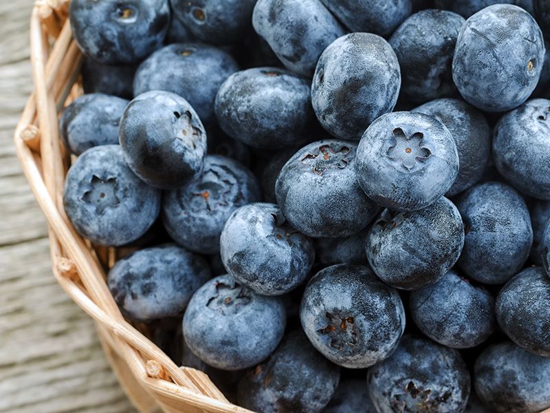 Blueberries' Brain Boost