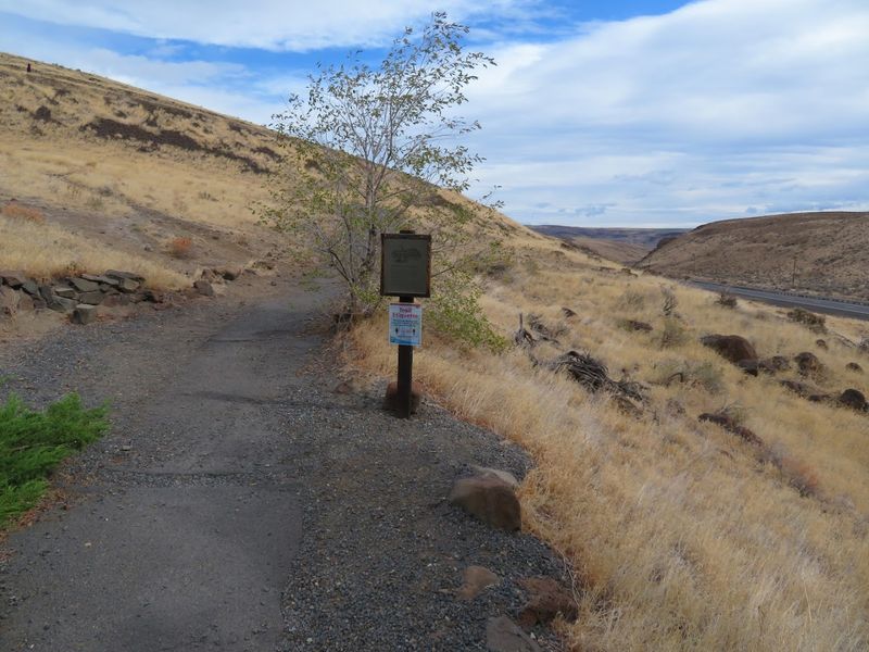 Ginkgo Petrified Forest Interpretive Trails, Vantage