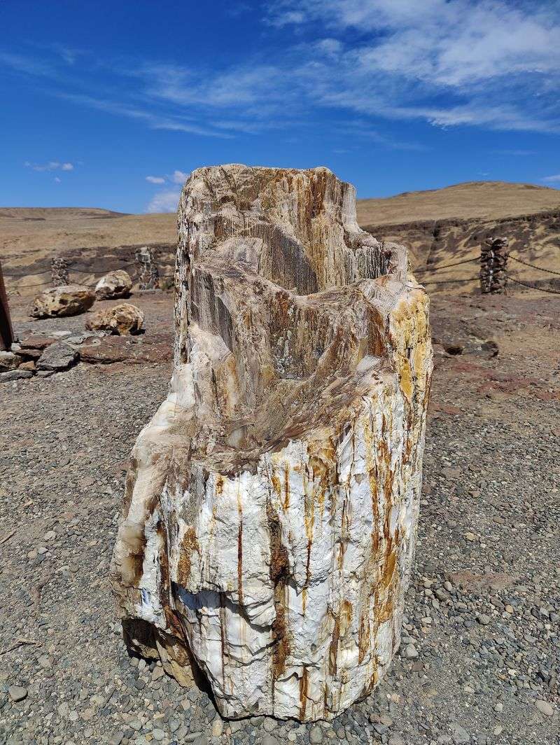 Ginkgo Petrified Forest State Park, Vantage Ginkgo Petrified Forest State Park, Vantage