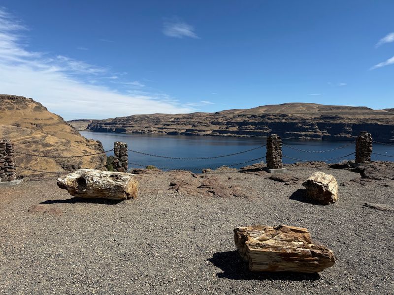 Ginkgo Petrified Forest State Park
