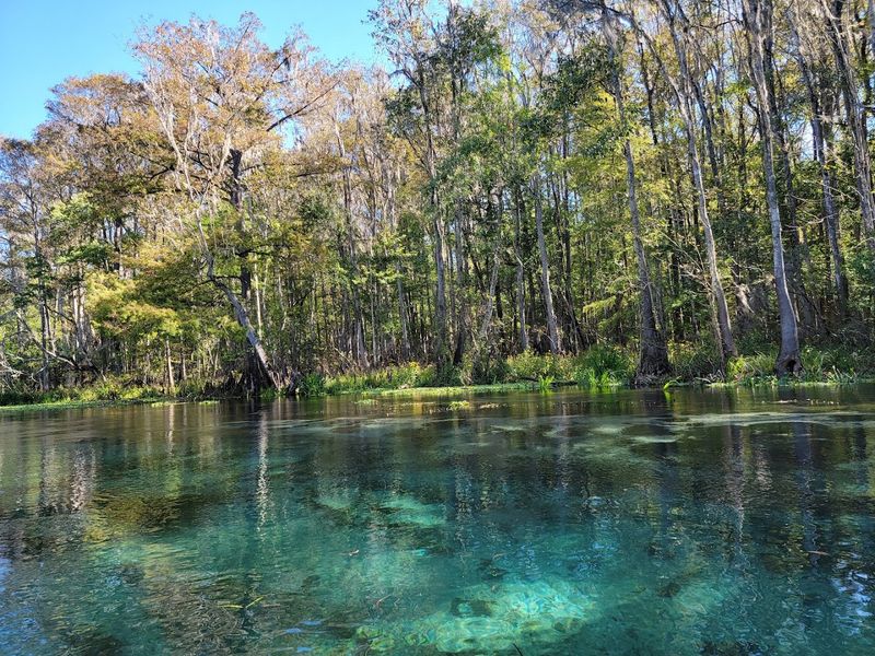 Ichetucknee Springs State Park, Fort White