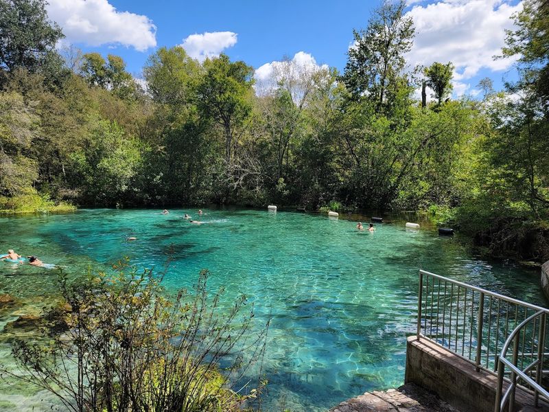 Ichetucknee Springs State Park, Fort White
