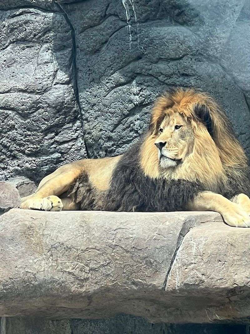 The Zoo Walk-Through Area