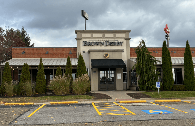 Girves Brown Derby, Medina