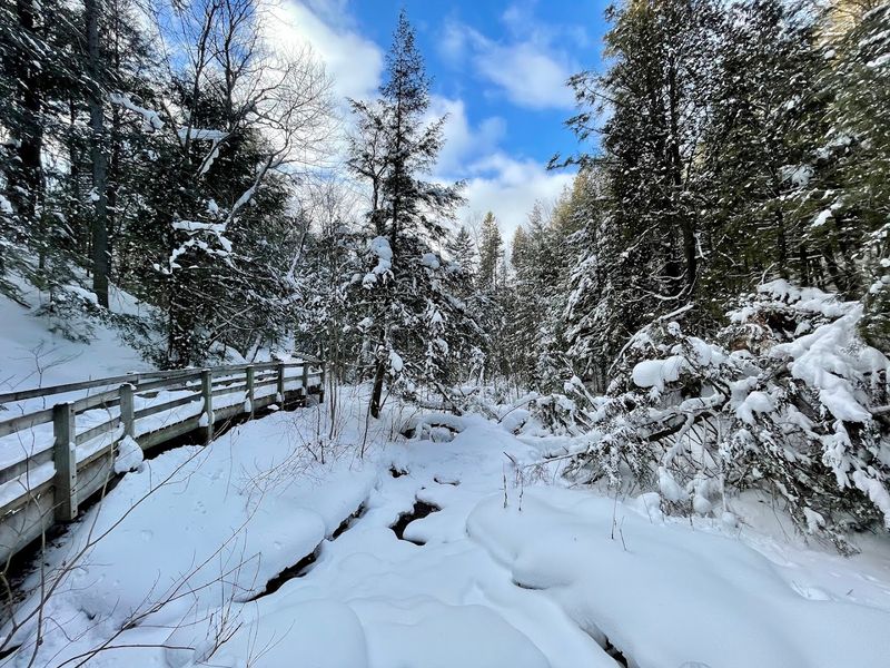 Watch Your Footing After Freeze