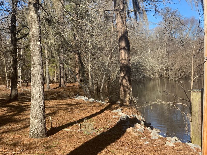 Givhans Ferry State Park: Your Easy Front Door