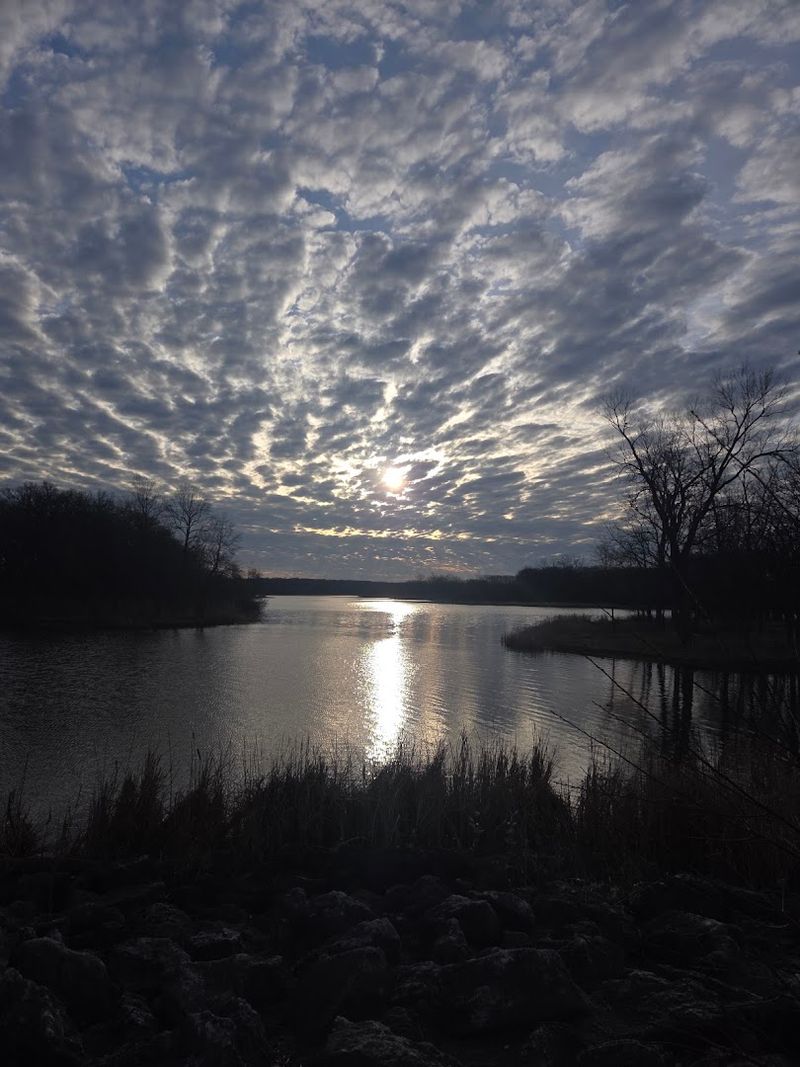 Busse Woods (Ned Brown Preserve), Elk Grove Village