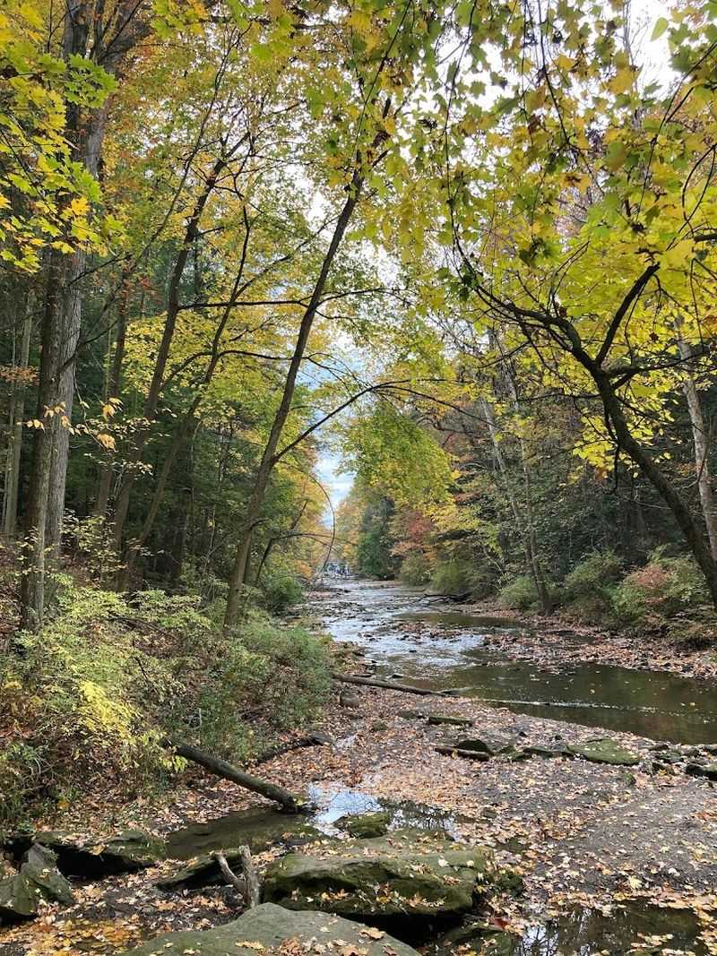 Year-Round Activities That Keep Visitors Coming Back