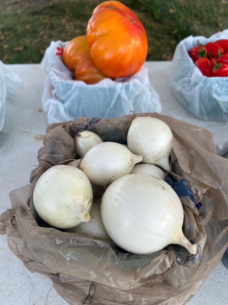 Middleton Berry Farm, Ortonville