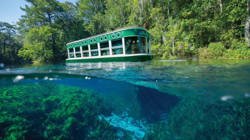 Glass-Bottom Boats Have Been Cruising These Waters Since The 1870s