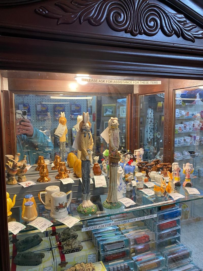 Glass Cases Made For Curious Collectors