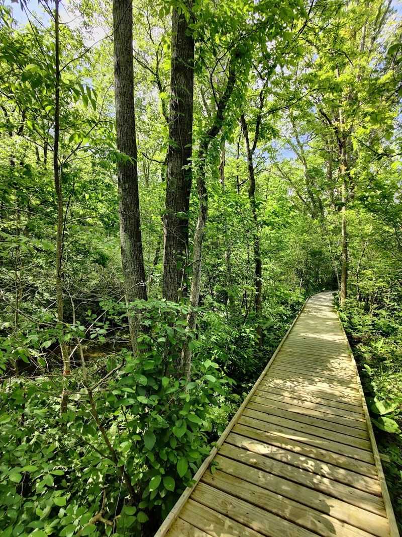 Cedar Bog Nature Preserve, Urbana, OH