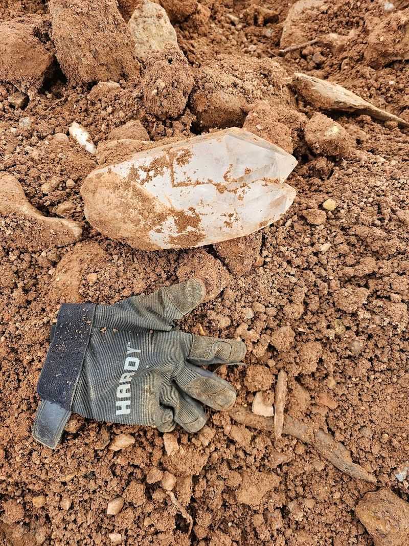 Glittering Finds In Fresh Soil