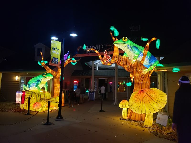 GloWILD Lantern Festival