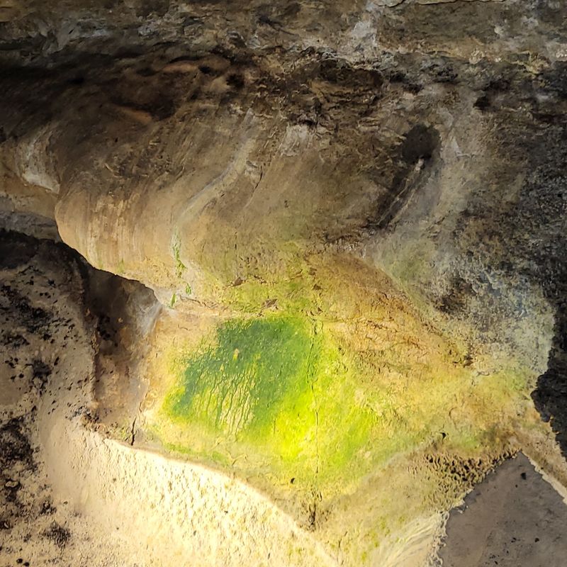 Glowing Rock That Steals the Show