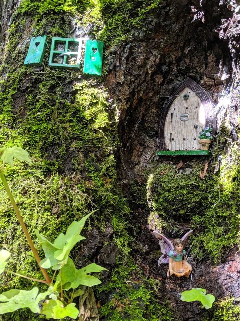 Gnomes, Fairies, And Tree Spirits Everywhere