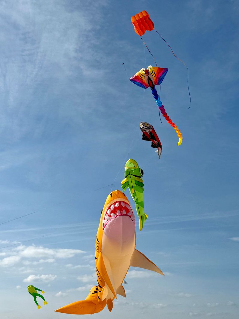 Go For The Feeling Of Summer Beginning