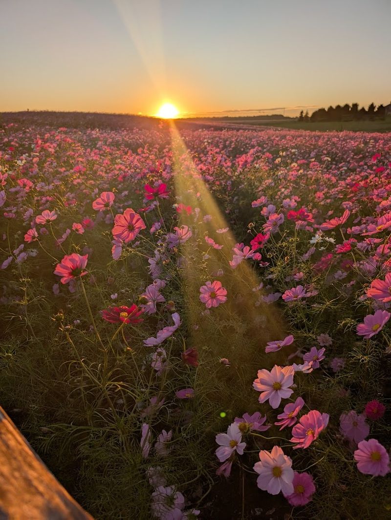 Bring Water And Sun Protection For Longer Stays